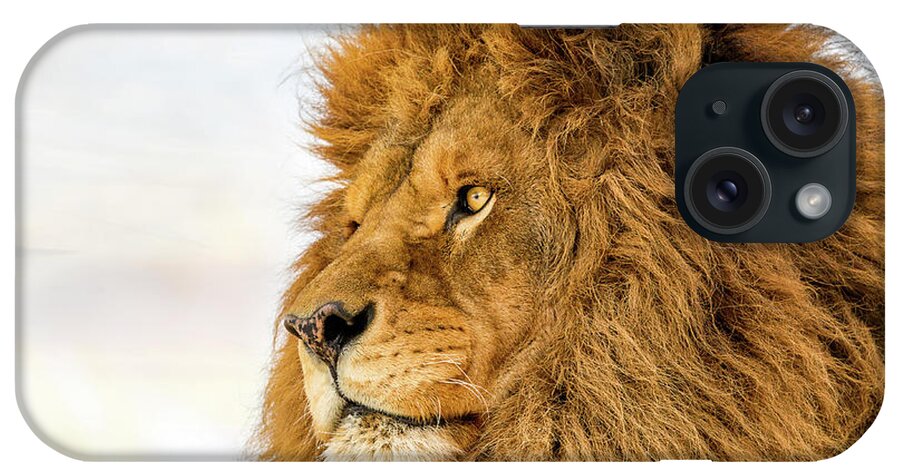 Lion iPhone Case featuring the photograph Lion King by Mike Centioli