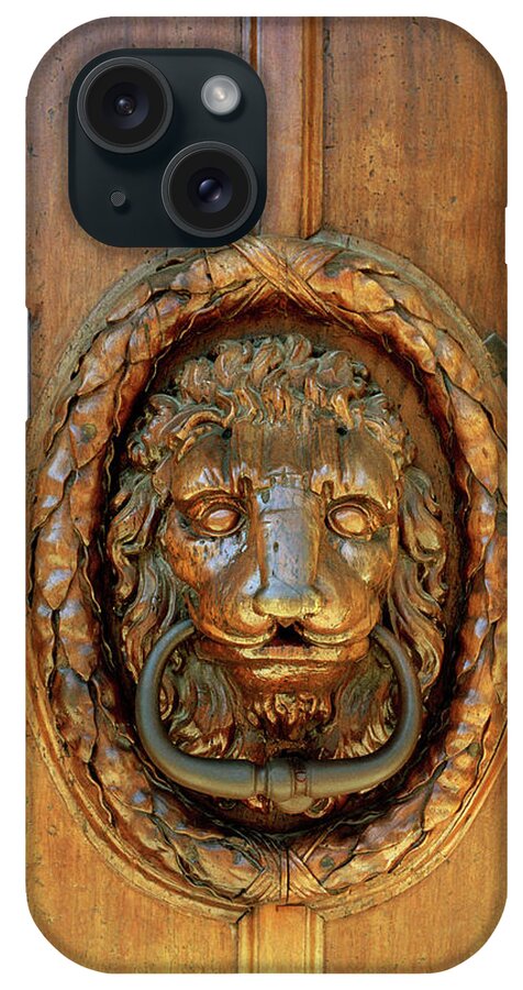Lion iPhone Case featuring the photograph Lion Of Aix by Shaun Higson
