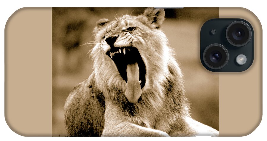 Lion iPhone Case featuring the photograph Lion Roar by Gunther Allen