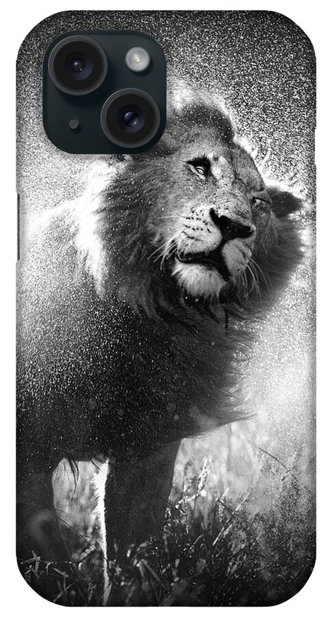 Lion iPhone Case featuring the photograph Lion shaking off water by Johan Swanepoel