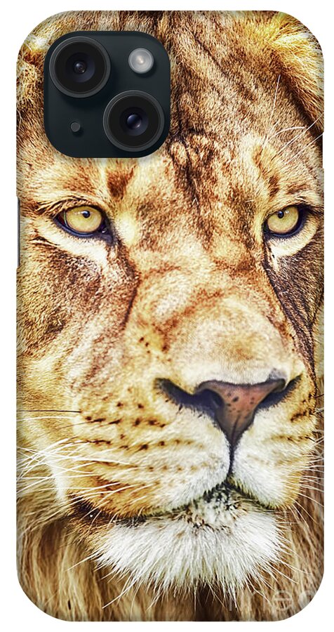 Lion iPhone Case featuring the photograph Lion is the King of the Jungle by David Millenheft