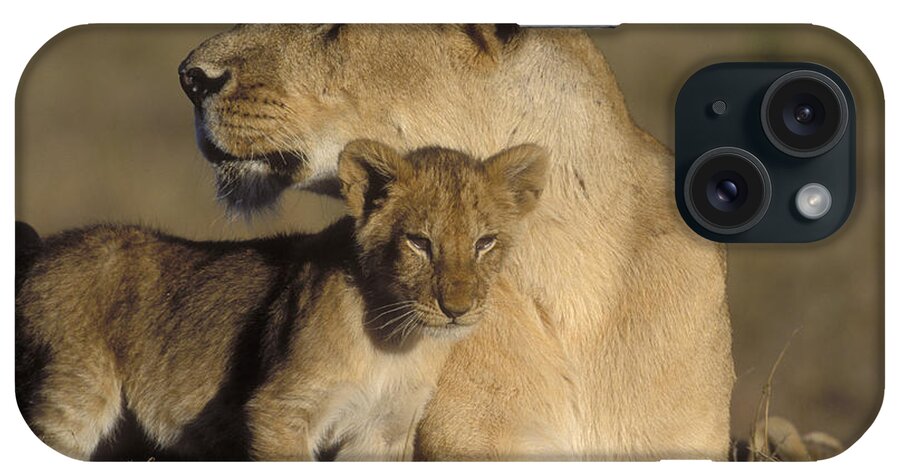 Lioness iPhone Case featuring the photograph Lioness And Her Cub by Sandra Bronstein