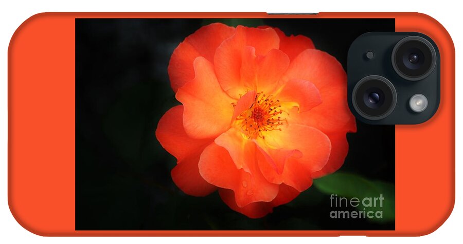 Flower iPhone Case featuring the photograph Lite up by Merle Grenz