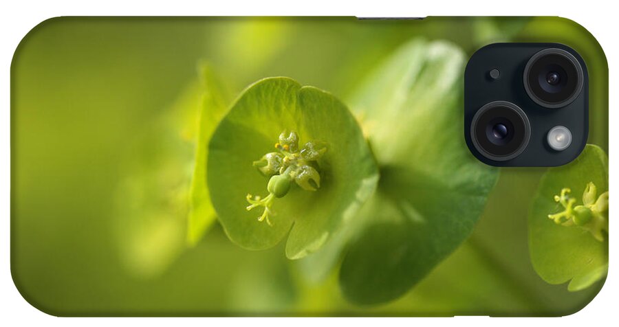 Spurge iPhone Case featuring the photograph Green Power by Connie Handscomb