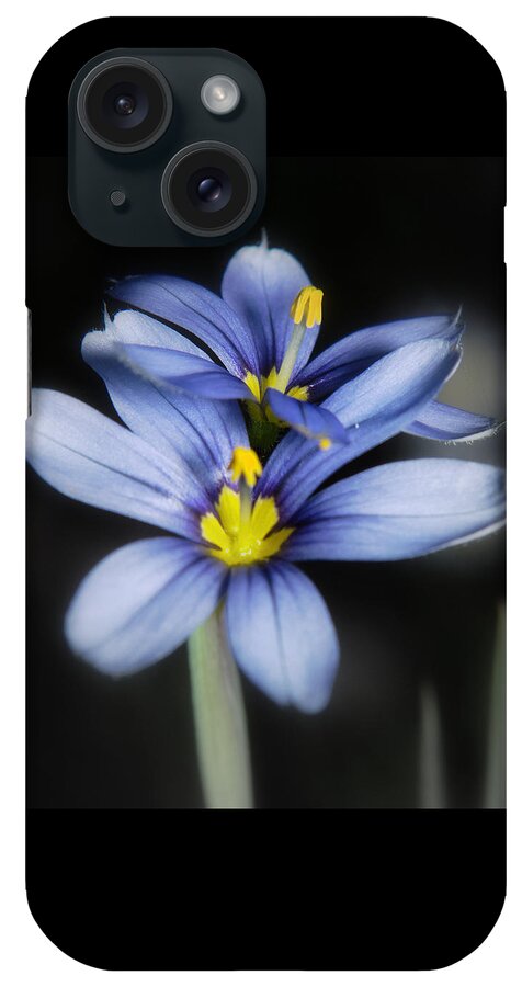  iPhone Case featuring the photograph Little Blue Flowers by Karen Musick
