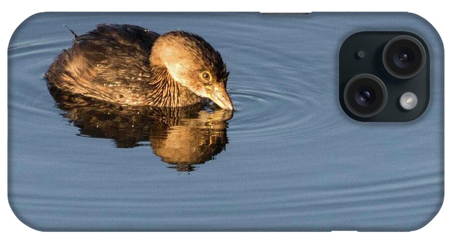 Wildlife iPhone Case featuring the photograph Little Brown Duck by John Benedict