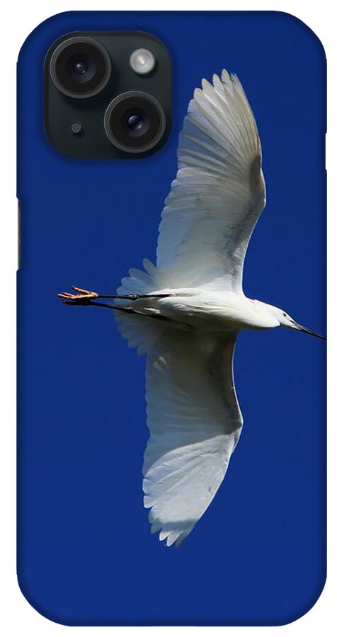 Little iPhone Case featuring the photograph Little egret, egretta garzetta by Elenarts - Elena Duvernay photo
