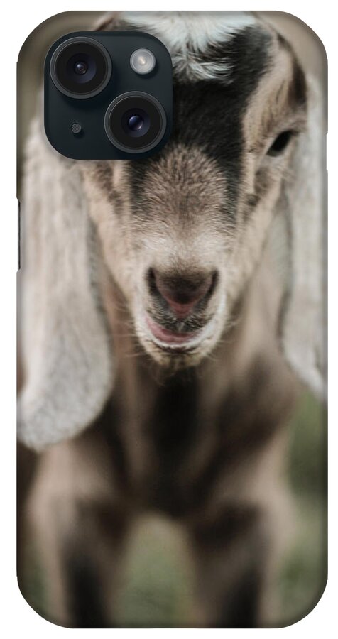 Kelly Hazel iPhone Case featuring the photograph Little Goat in Color by Kelly Hazel