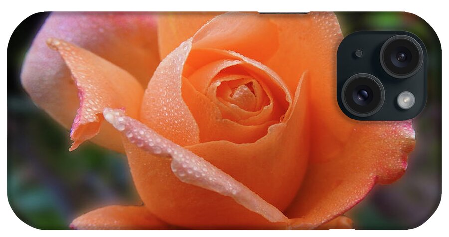 Flower iPhone Case featuring the photograph Little Goldie by Mark Blauhoefer