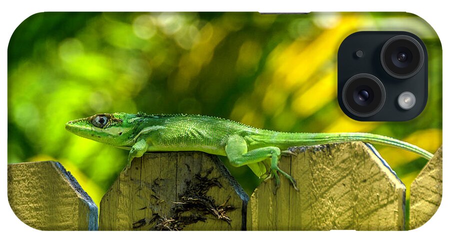 Iguana iPhone Case featuring the photograph Little Green Visitor by Wolfgang Stocker