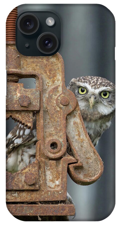 Little Owl iPhone Case featuring the photograph Little Owl Peeking by Pete Walkden