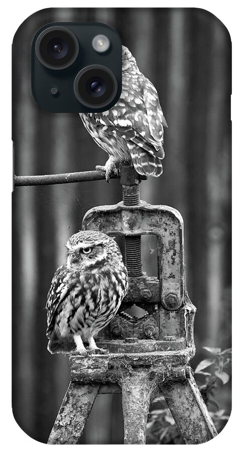 Little Owl iPhone Case featuring the photograph Little Owls Black And White by Pete Walkden