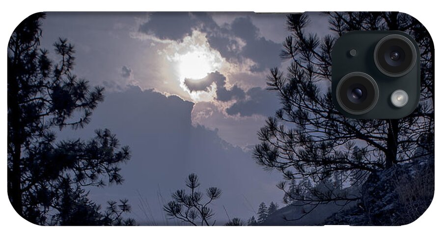 Rattlesnake Mt iPhone Case featuring the photograph Little Pine by Troy Stapek