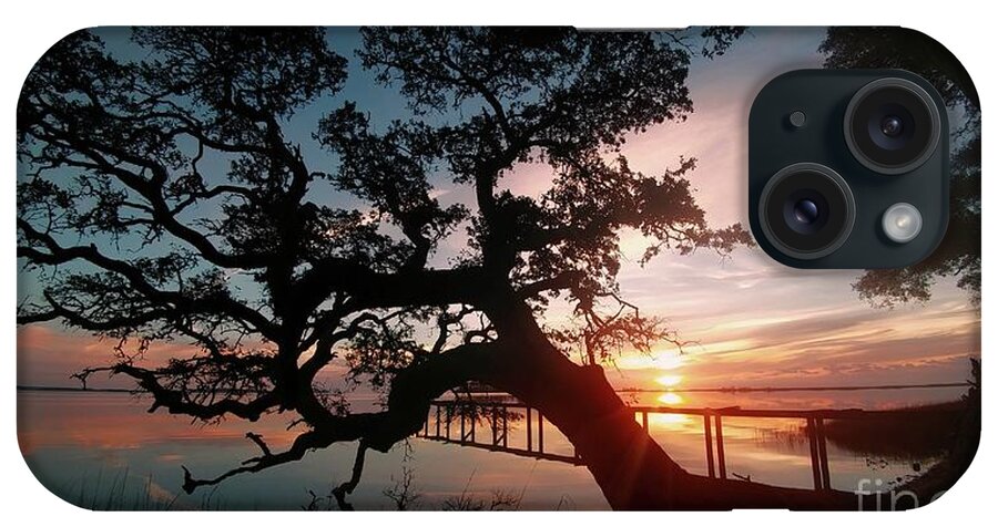 Sunrise iPhone Case featuring the photograph Live oak Sunrise by Benanne Stiens