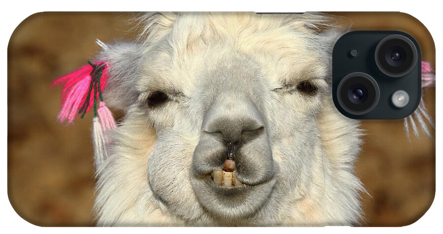 Llama iPhone Case featuring the photograph Llama Happiness by James Brunker