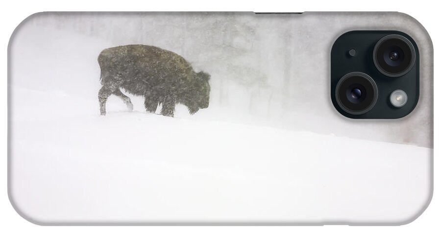 Landscape iPhone Case featuring the photograph Lone Buffalo Bull in Winter Storm by Craig J Satterlee