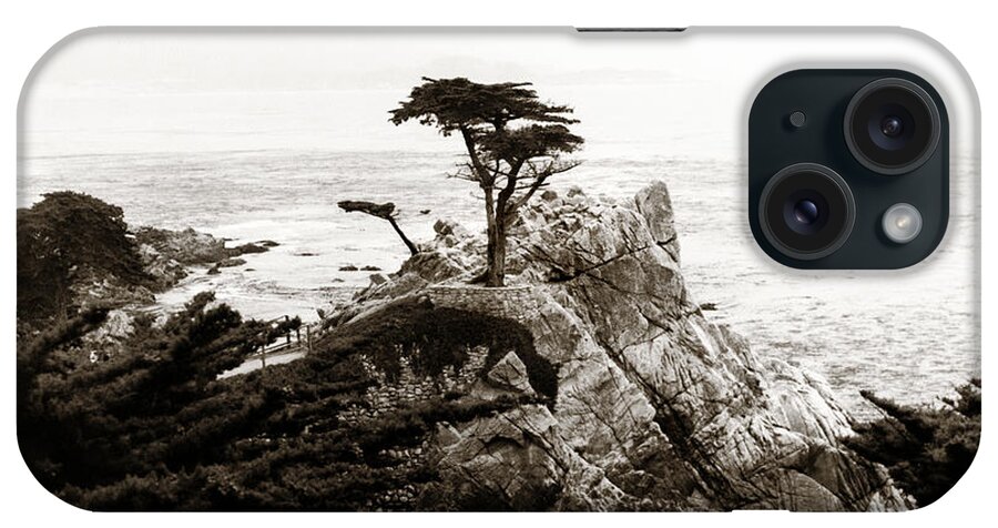 Lone Cypress iPhone Case featuring the photograph Lone Cypress by Marilyn Hunt