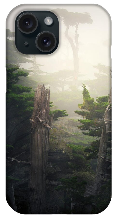 California iPhone Case featuring the photograph Lone Cyprus Tree by Craig J Satterlee