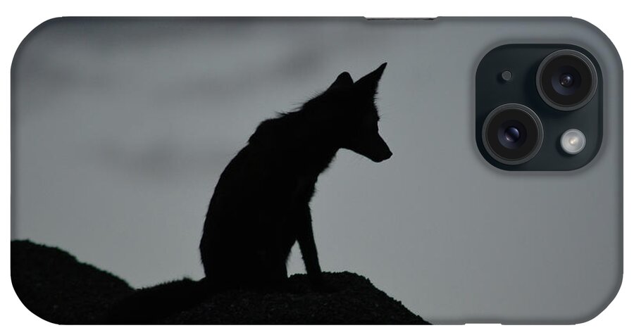 Fox iPhone Case featuring the photograph Lone Fox by Vivian Martin