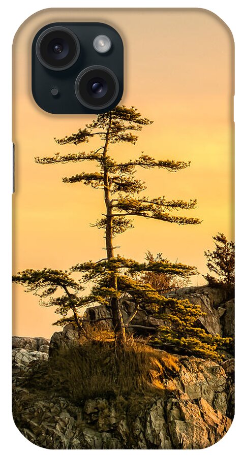 Crow Island iPhone Case featuring the photograph Lone Pine-Crow Is. by Michael Hubley