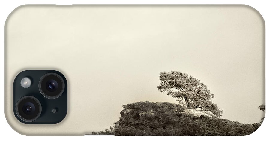 Torrey iPhone Case featuring the photograph Lone Torrey Pine Antique by Lawrence Knutsson