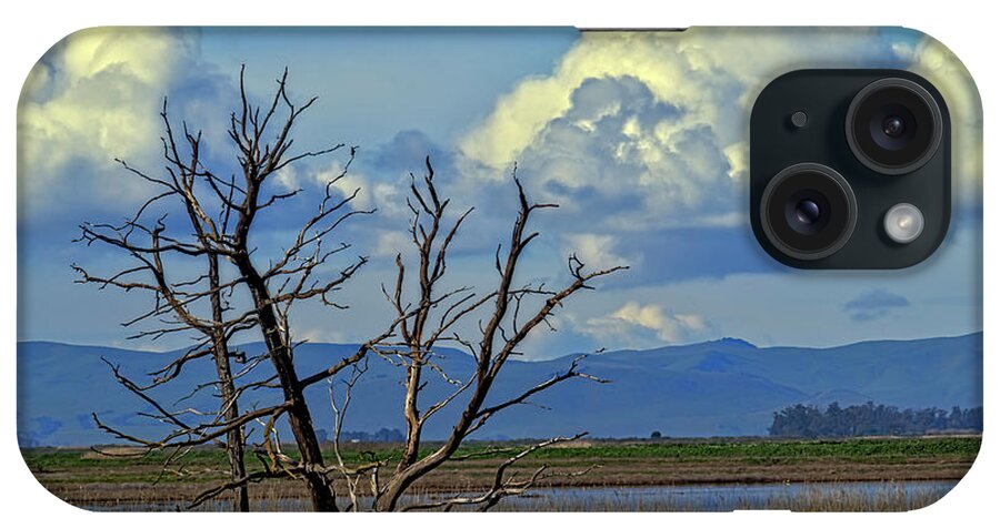 Slough iPhone Case featuring the photograph Lone Tree by Bruce Bottomley