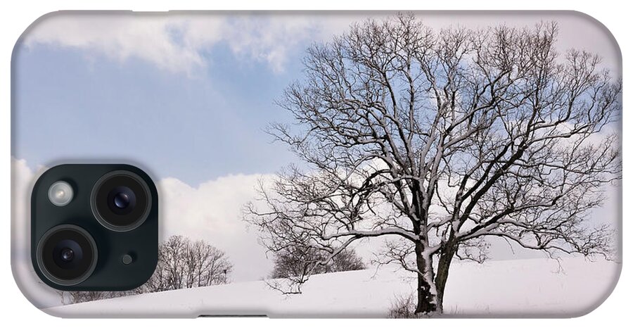 Landscape iPhone Case featuring the photograph Lone Tree in Snow by Betty Denise