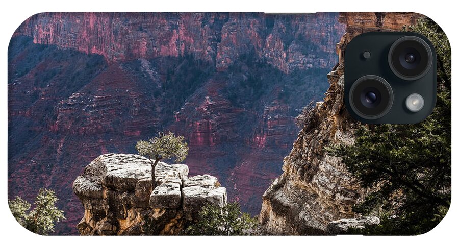 Arizona iPhone Case featuring the photograph Lone Tree On Outcrop by Ed Gleichman