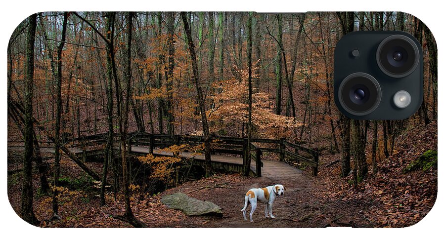 Hound iPhone Case featuring the photograph Lonely Hound by Barbara Bowen