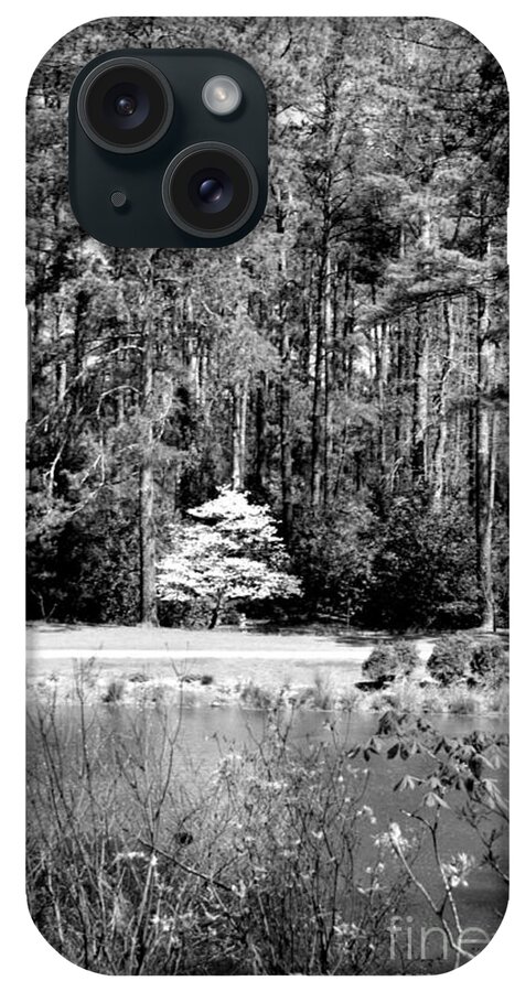 Adrian-deleon iPhone Case featuring the photograph Lonely White Tree Surronded by The Big Trees - GA by Adrian De Leon Art and Photography