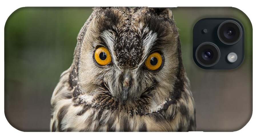 Long-eared Owl iPhone Case featuring the photograph Long-eared Owl by Martina Fagan