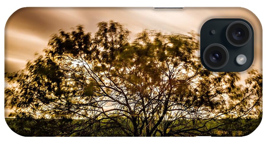 Tree iPhone Case featuring the photograph Long Exposure O A Tree Near Farm Land by Alex Grichenko