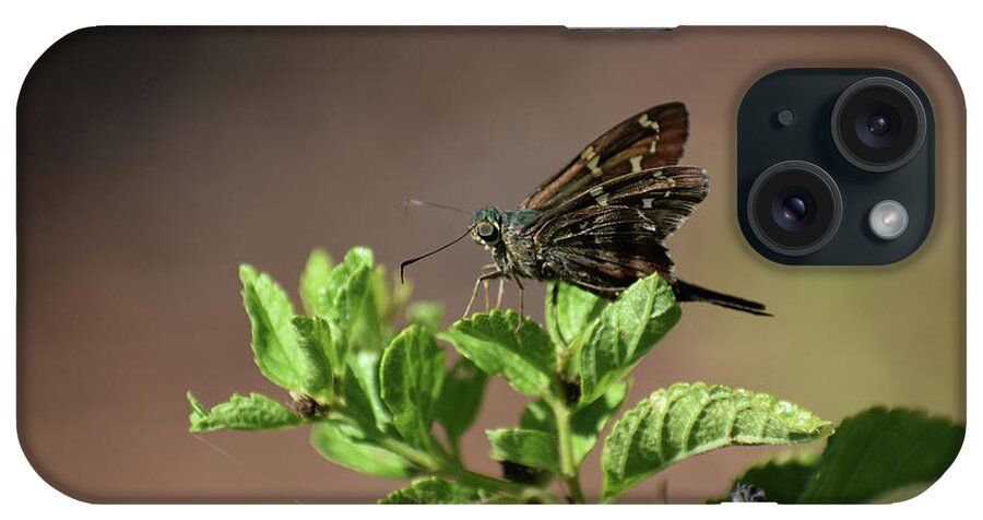 Animals iPhone Case featuring the photograph Long Tailed Skipper by Skip Willits