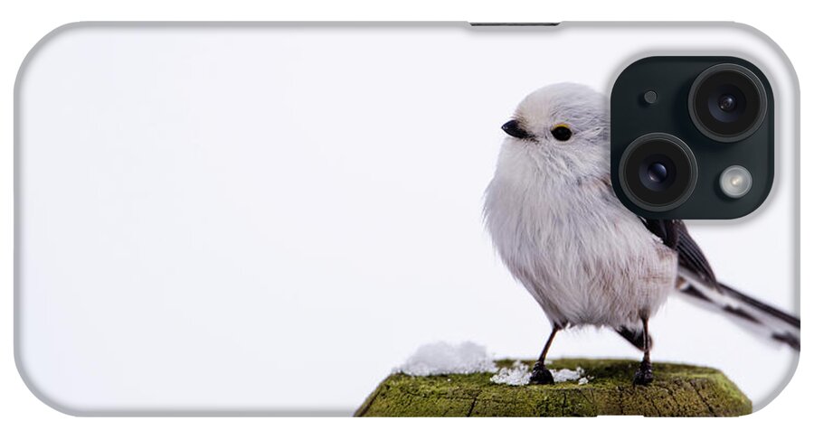 Long-tailed Tit iPhone Case featuring the photograph Long-tailed tit on the pole by Torbjorn Swenelius