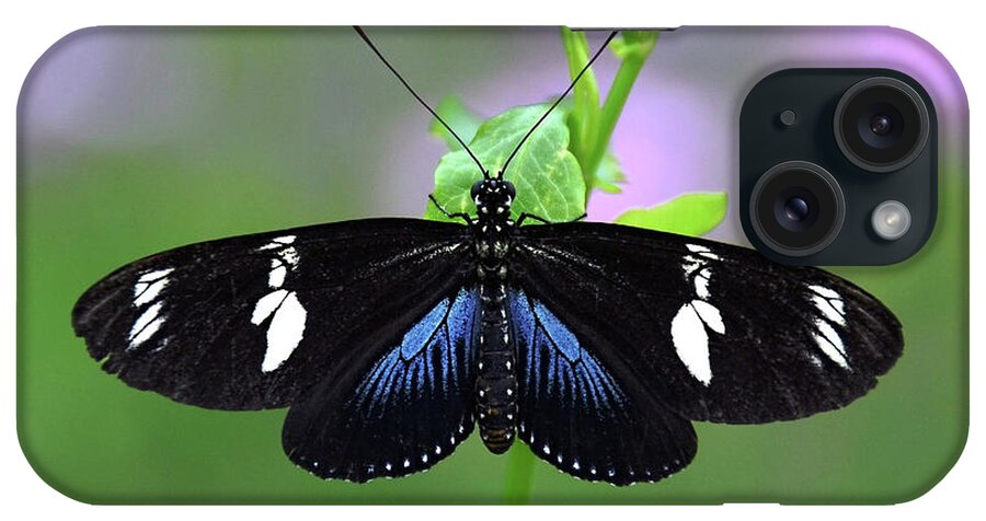 Longwing Butterfly iPhone Case featuring the photograph Longwing5 by Ronda Ryan