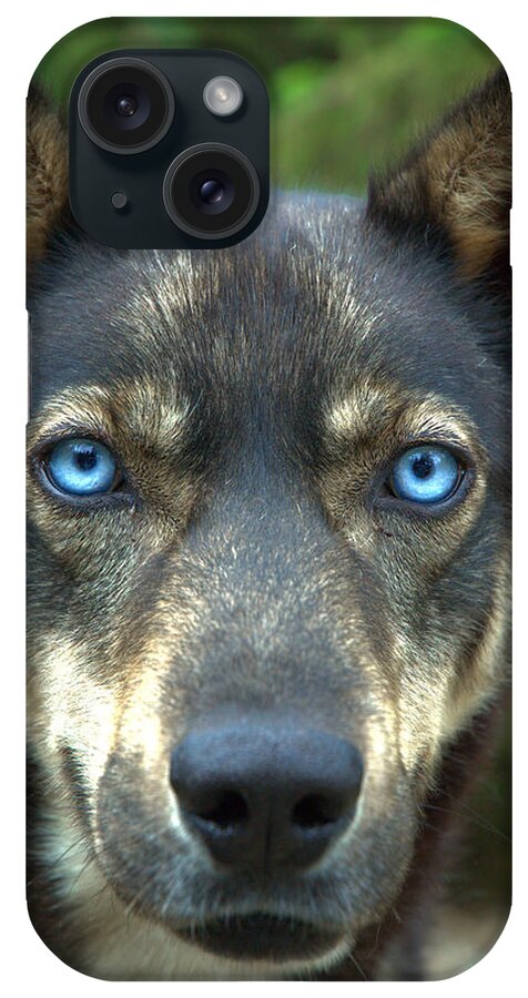 Dog iPhone Case featuring the photograph Look into my eyes... by Kathi Shotwell