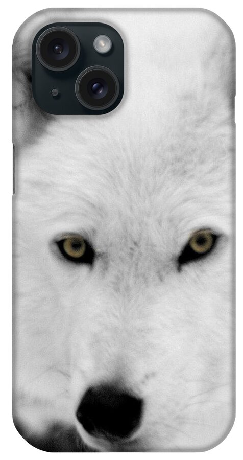 Arctic Wolf iPhone Case featuring the photograph Look into my eyes by Larry Ricker