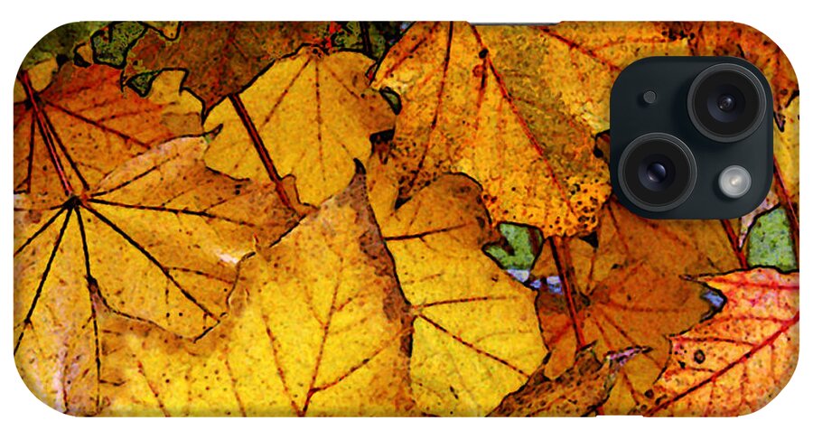 Autumn iPhone Case featuring the photograph Looking Up by Ed A Gage
