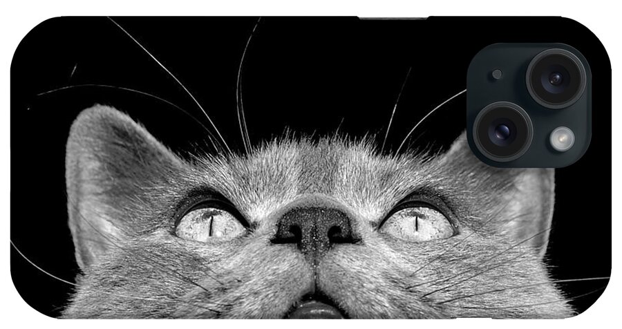 Cat iPhone Case featuring the photograph Looking up by Laura Melis