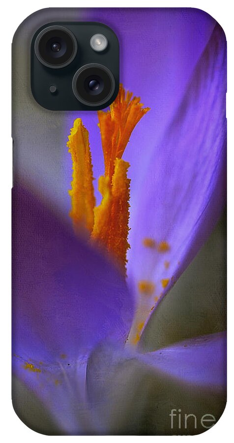 Crocus iPhone Case featuring the photograph Looking Up To Spring by Rene Crystal