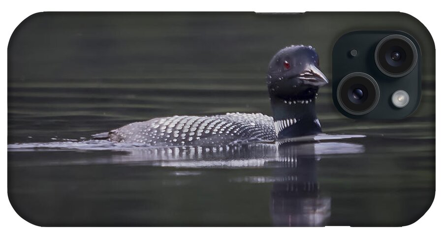 Loon iPhone Case featuring the photograph Loon 3 by Vance Bell