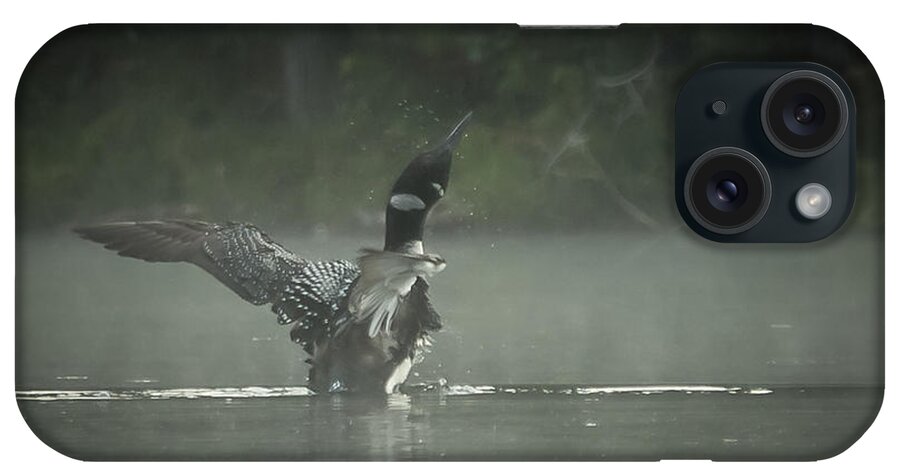 Loon iPhone Case featuring the photograph Loon 7 by Vance Bell