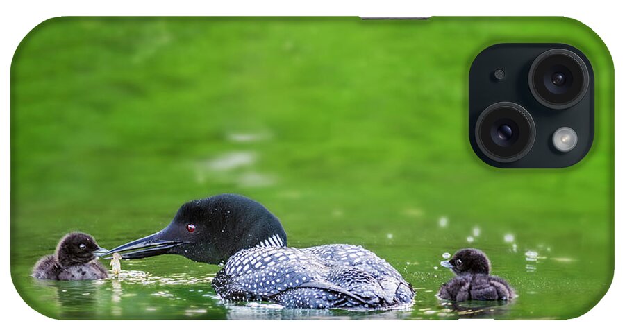 Common Loon iPhone Case featuring the photograph Loon with Chicks by Peg Runyan