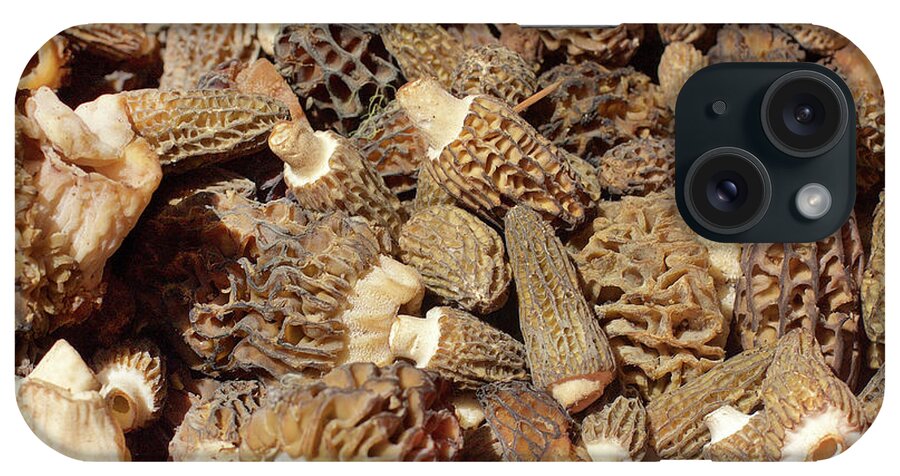 Mushroom iPhone Case featuring the photograph Loose Morels by Bruce Block