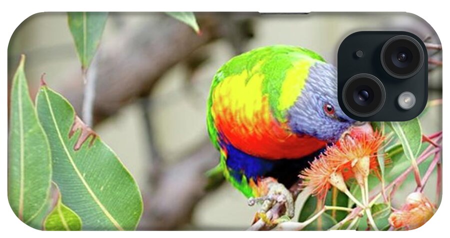 Moodforfloral iPhone Case featuring the photograph Lorikeet With Flowering by Margaret Goodwin