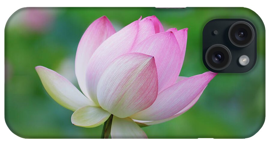 Lotus Flower iPhone Case featuring the photograph Lotus Bloom by Ram Vasudev