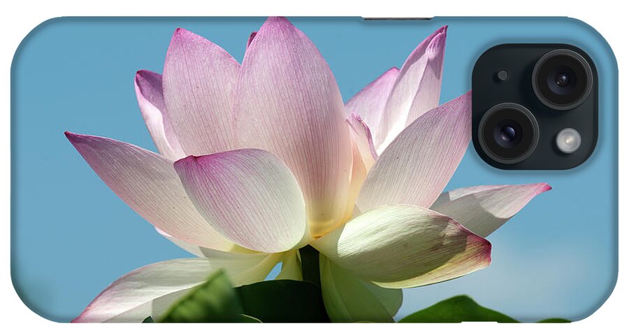 Lotus iPhone 15 Case featuring the photograph Lotus--Blue Sky i DL0104 by Gerry Gantt
