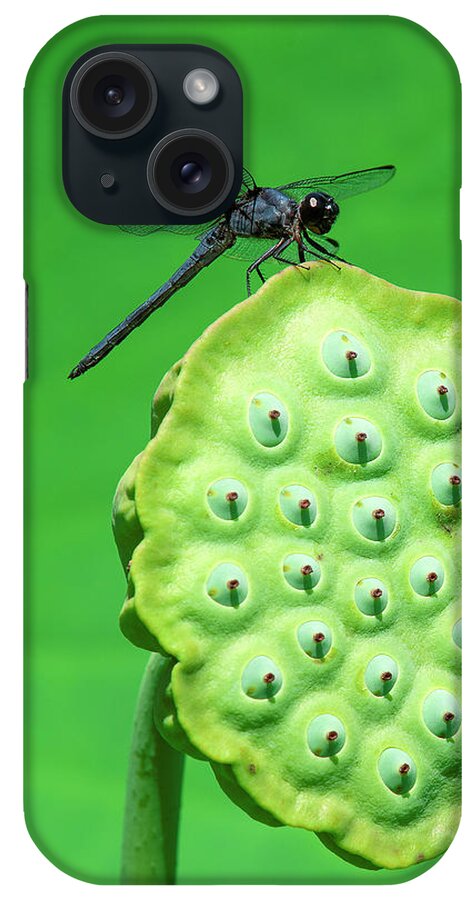 Lotus iPhone Case featuring the photograph Lotus Capsule and Slaty Skimmer Dragonfly DL0106 by Gerry Gantt