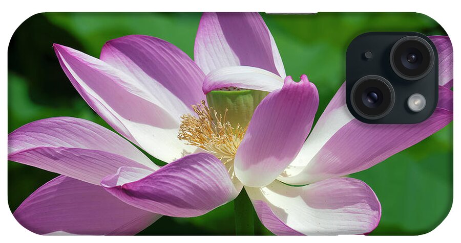 Lotus iPhone Case featuring the photograph Lotus--Center of Being--Protective Covering i DL0087 by Gerry Gantt