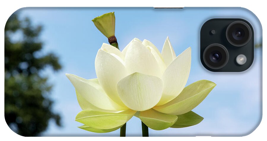 Lotus Debbie Gibson iPhone Case featuring the photograph Lotus Debbie Gibson Flower by Tim Gainey